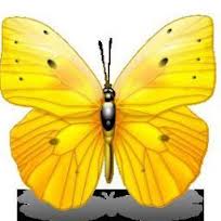 Mariam T.